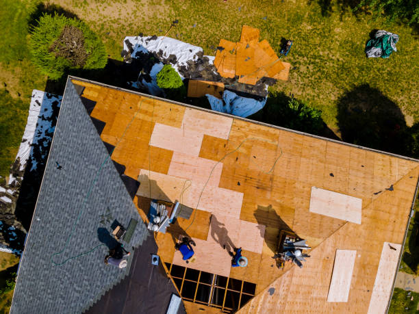 Roof Gutter Cleaning in Manchester, MI