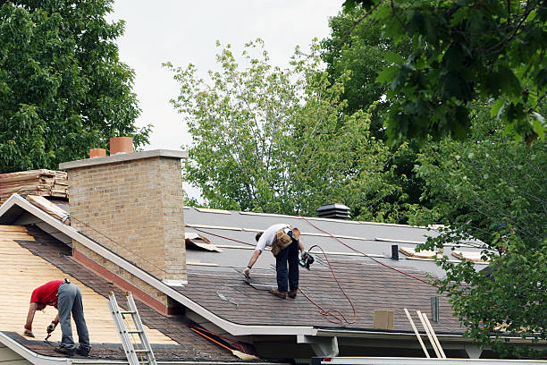 Best Roof Restoration Services  in Manchester, MI
