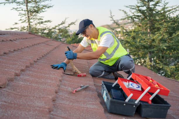 Best Commercial Roof Installation  in Manchester, MI