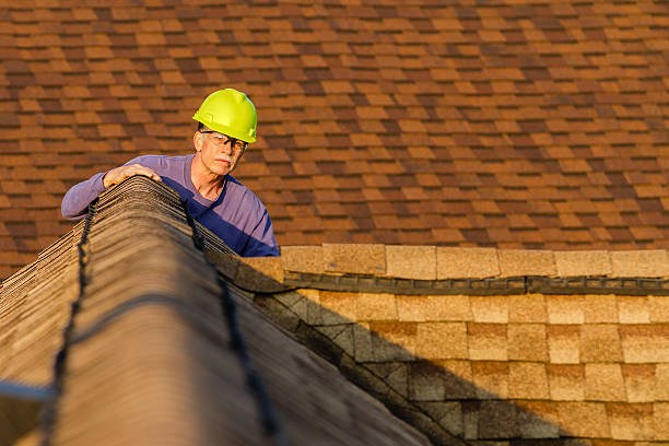 Roof Gutter Cleaning in Manchester, MI
