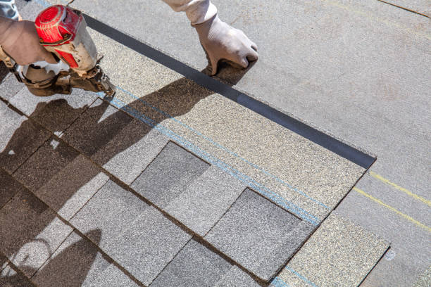 Best Metal Roofing Contractor  in Manchester, MI