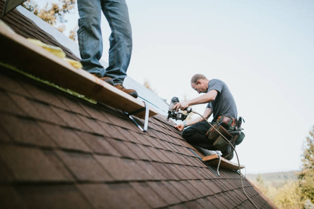 Best Flat Roof Repair Services  in Manchester, MI